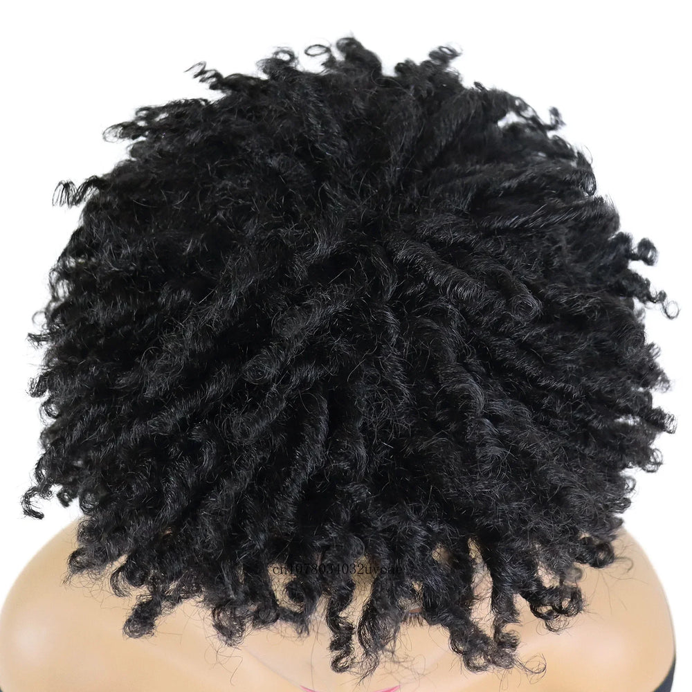 Synthetic Braided Wigs for Women Locs Crochet Twist Hair Short Afro Wig Ladies Dreadlock Wig Black Daily Curly Cool Girl Bouncy