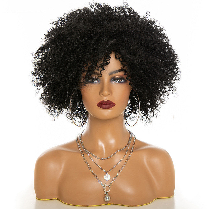Afro Kinky Curly Hair Wigs Afro Kinky Curly Hair Wigs Beauty hair & fashionfj