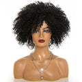 Afro Kinky Curly Hair Wigs Afro Kinky Curly Hair Wigs Beauty hair & fashionfj