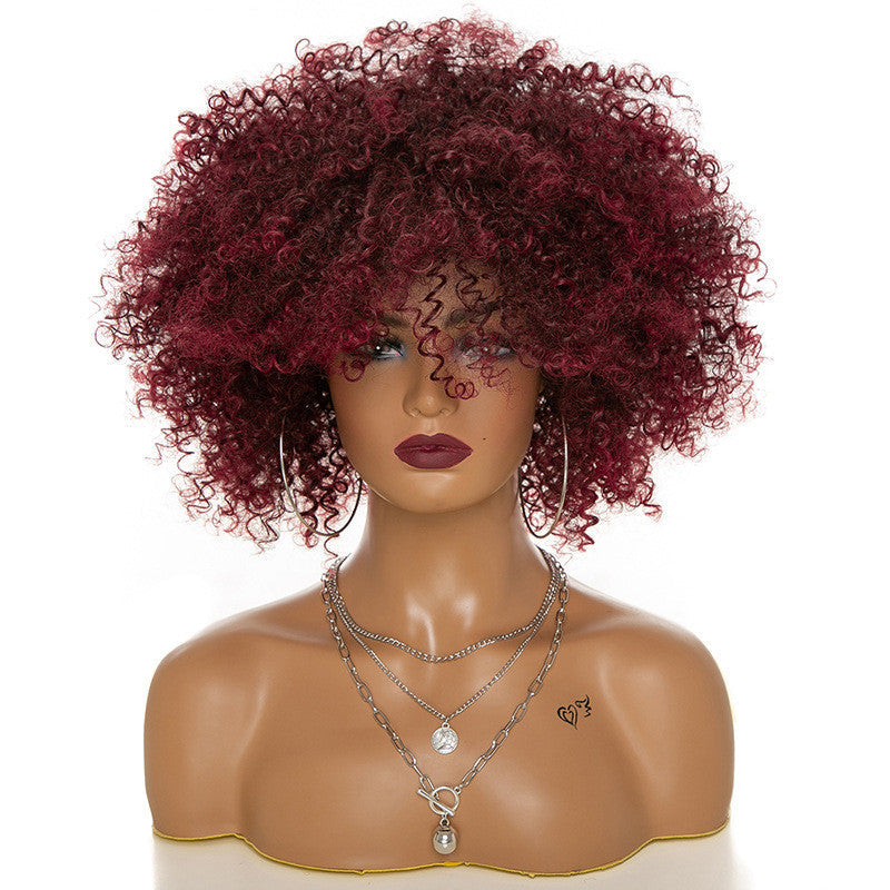 Afro Kinky Curly Hair Wigs Afro Kinky Curly Hair Wigs Beauty hair & fashionfj