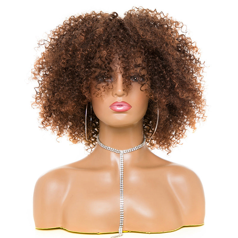 Afro Kinky Curly Hair Wigs Afro Kinky Curly Hair Wigs Beauty hair & fashionfj